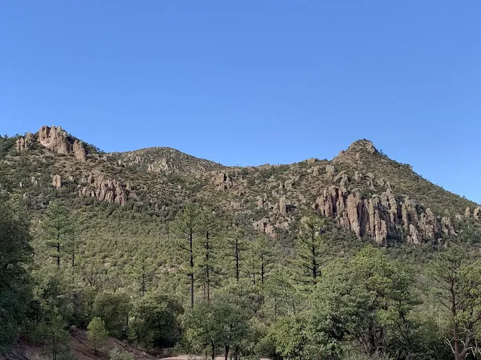 Gardner Canyon Rd. Dispersed Campsite Picture 3