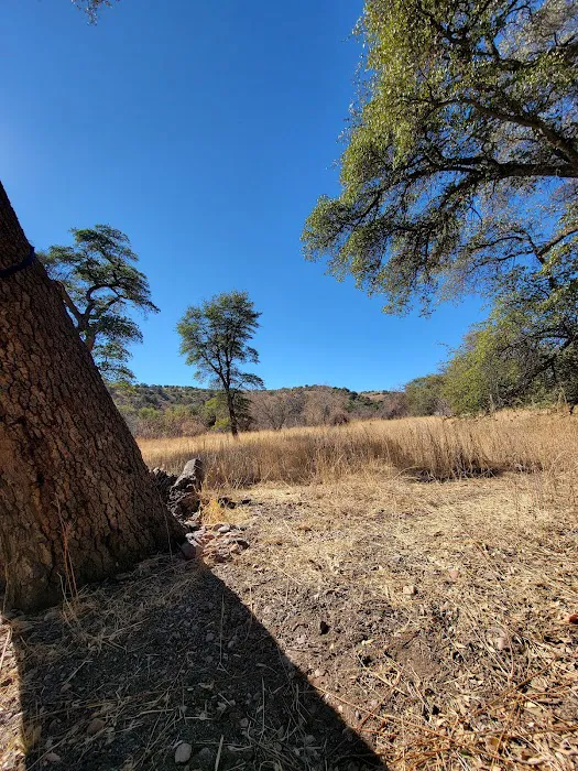 Gardner Canyon Rd. Dispersed Campsite Picture 2