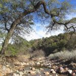 Gardner Canyon Rd. Dispersed Campsite