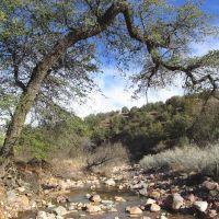 Gardner Canyon Rd. Dispersed Campsite ico