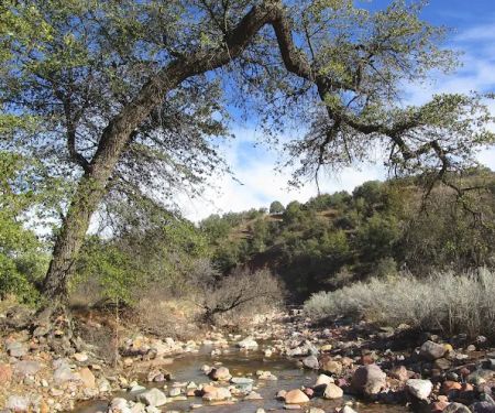 Gardner Canyon Rd. Dispersed Campsite