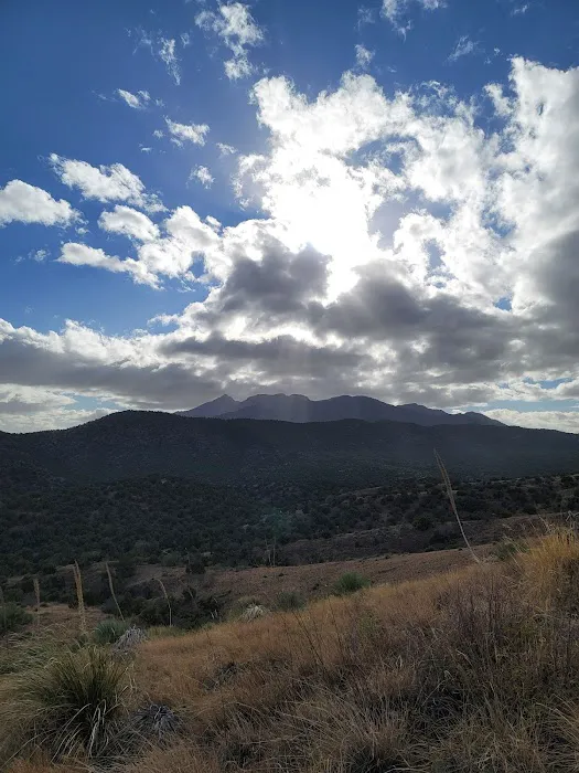 Gardner Canyon Rd. Dispersed Campsite Picture 5