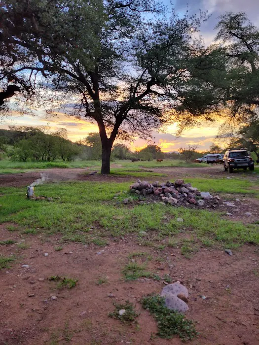 Gardner Canyon Rd. Dispersed Campsite Picture 6
