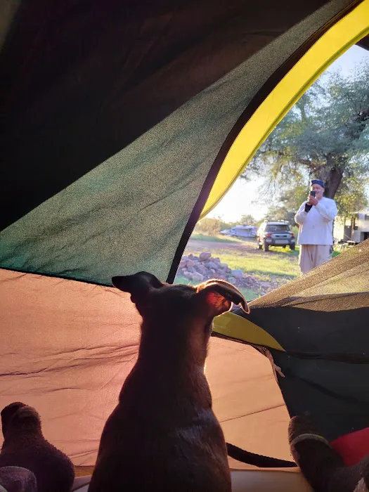 Gardner Canyon Rd. Dispersed Campsite Picture 8