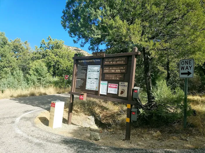 Bog Springs Campground Picture 1