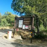 Bog Springs Campground