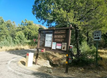 Bog Springs Campground