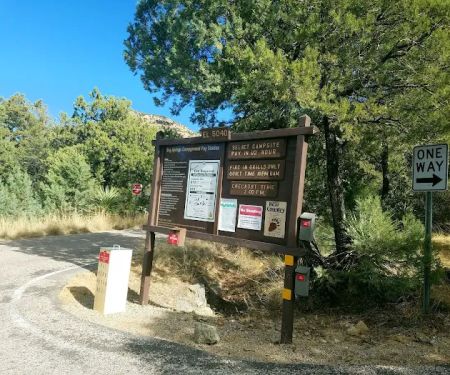 Bog Springs Campground