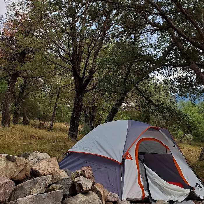 Bog Springs Campground Picture 10