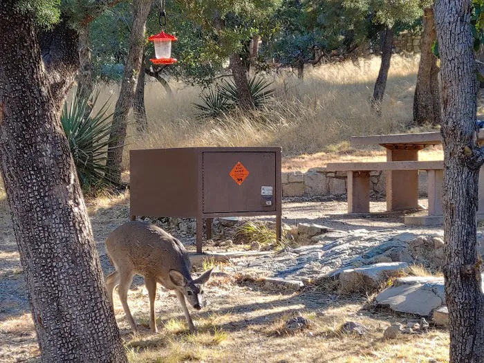 Bog Springs Campground Picture 9