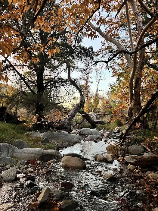 Proctor campground Picture 1