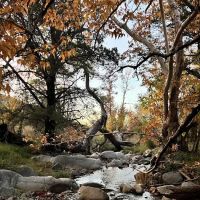 Proctor campground ico
