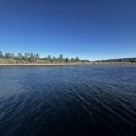 Ruddy Duck Campsites
