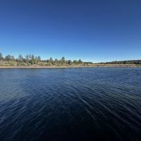 Ruddy Duck Campsites ico