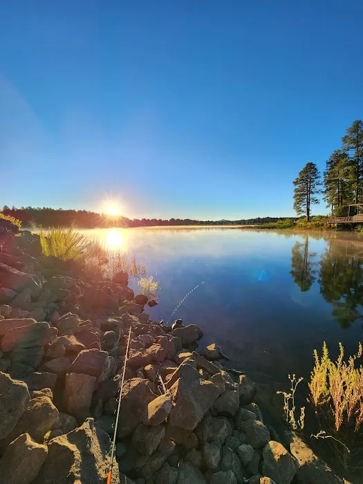 Fool Hollow Lake Mallard Campground Picture 7