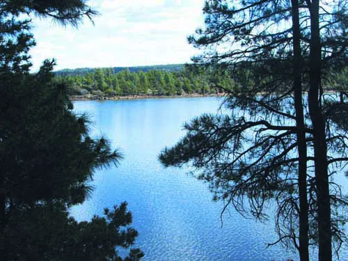 Show Low Lake Campground Picture 10