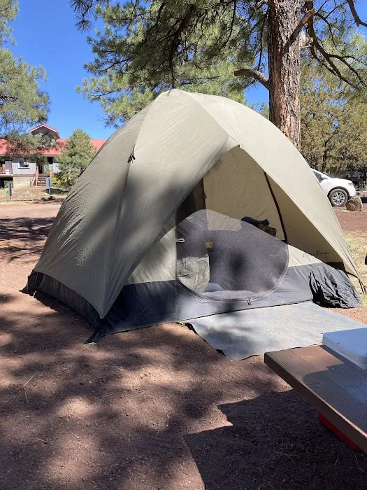 Show Low Lake Campground Picture 9