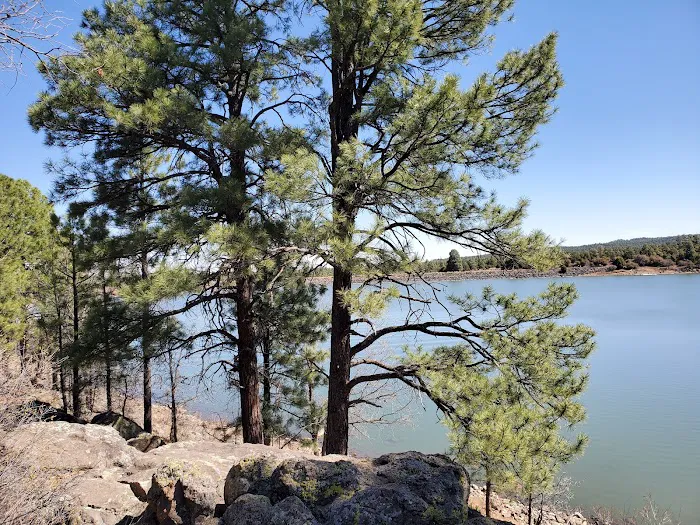Show Low Lake Campground Picture 7