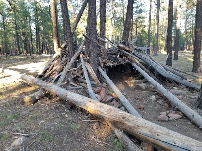 Canyon Point Campground Picture 3