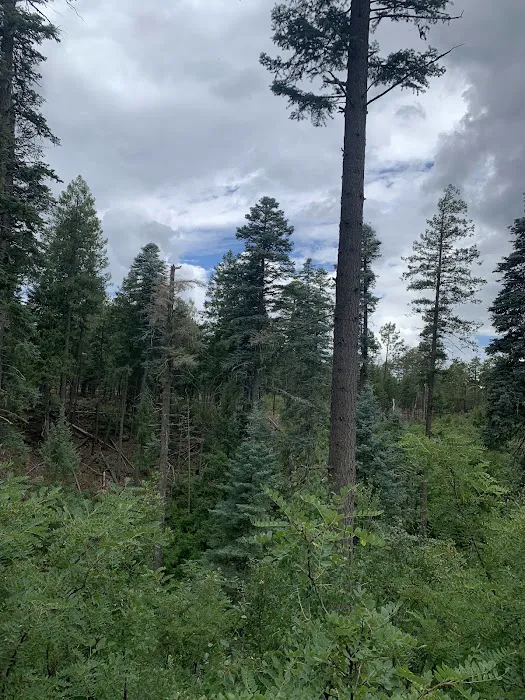 Canyon Point Campground Picture 7