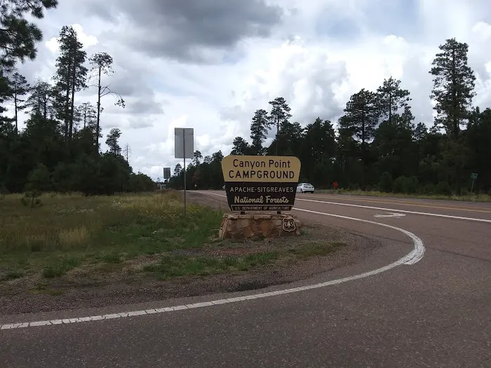 Canyon Point Campground Picture 5