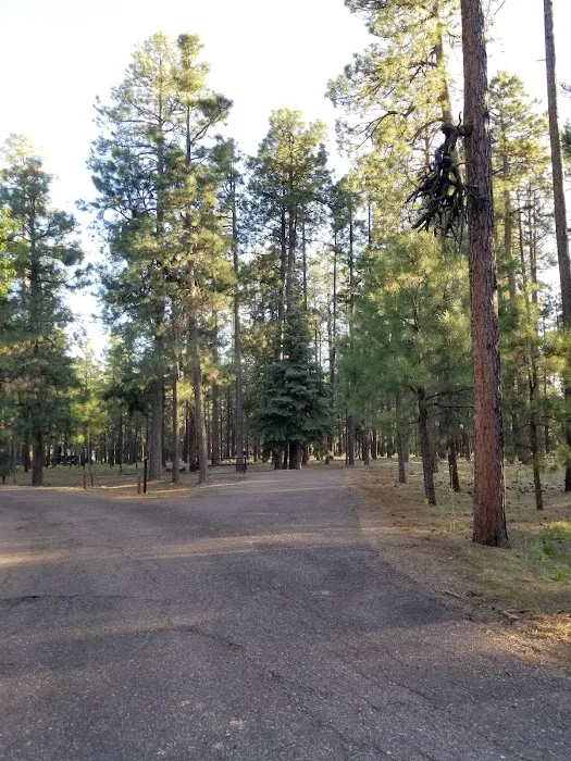 Canyon Point Campground Picture 4