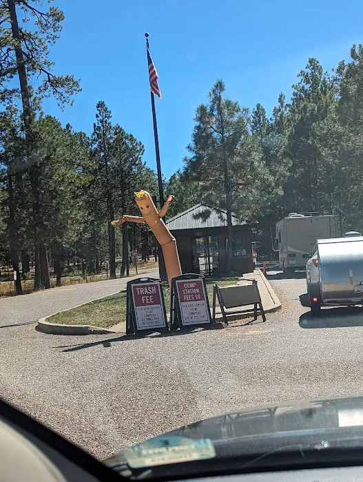 Canyon Point Campground Picture 9