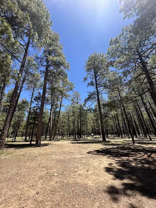 Canyon Point Campground Picture 10