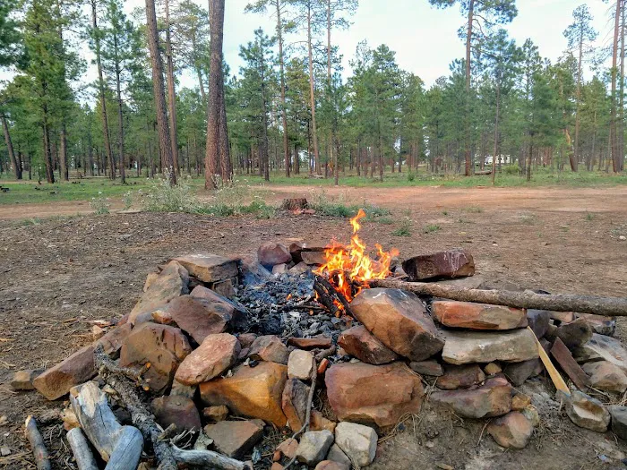 Larson Ridge Camping Area Picture 8