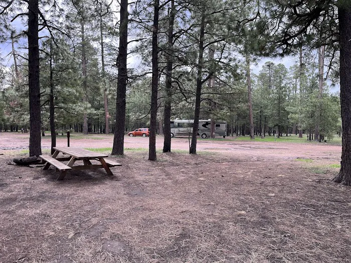 Larson Ridge Camping Area Picture 9