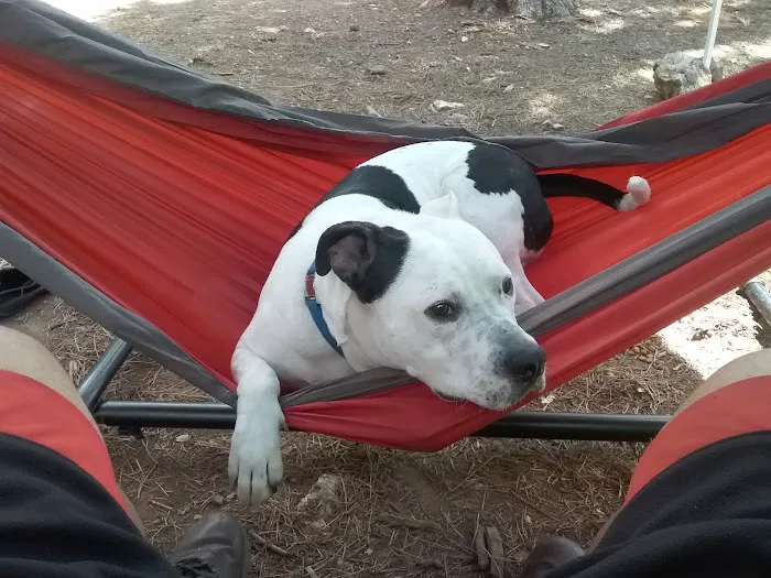 Larson Campground Picture 4