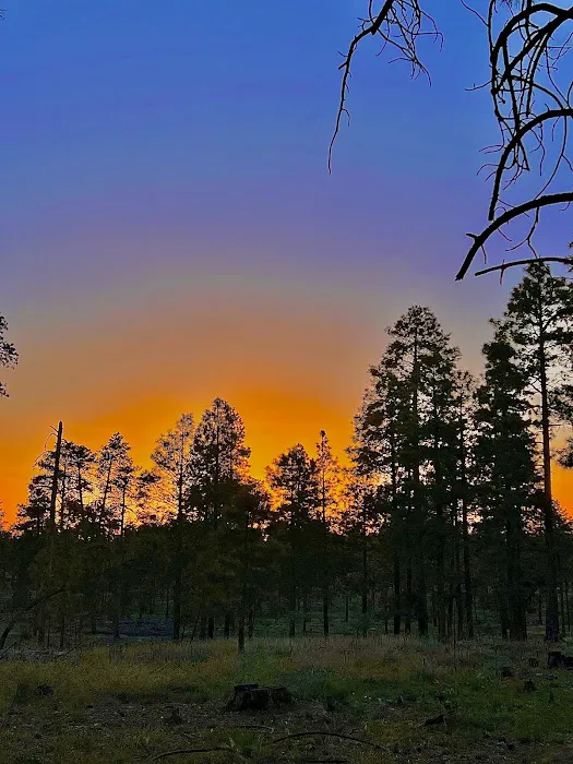 Larson Campground Picture 8