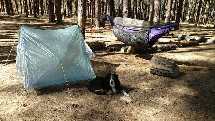 Airplane Flats Campground Picture 1