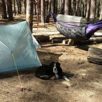 Airplane Flats Campground ico