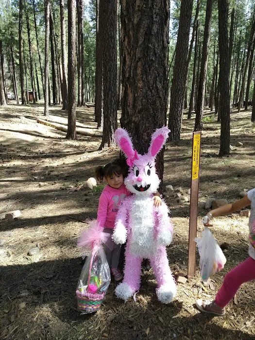 Airplane Flats Campground Picture 7