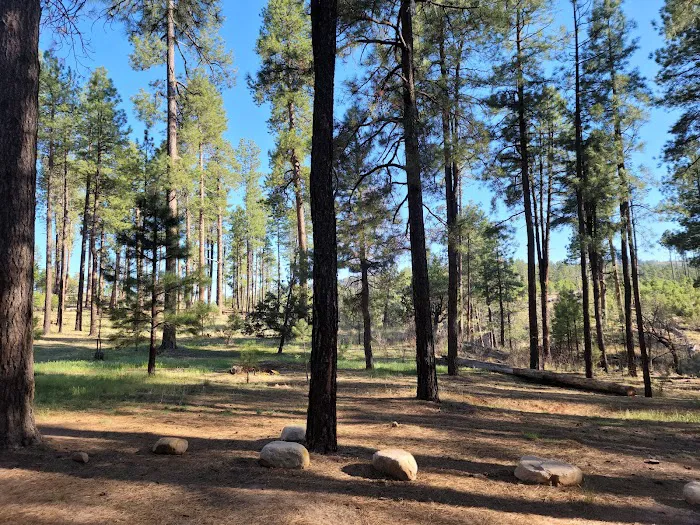 Airplane Flats Campground Picture 4