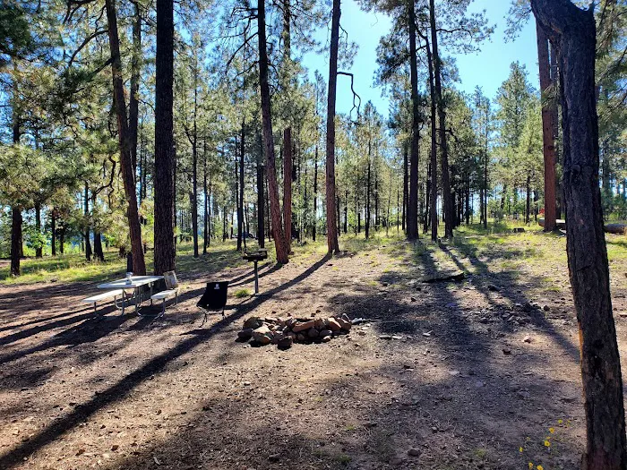 Valentine Ridge Campground Picture 2