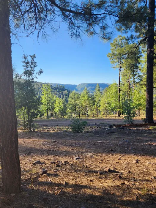 Valentine Ridge Campground Picture 10