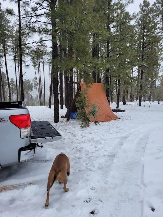 Valentine Ridge Campground Picture 6