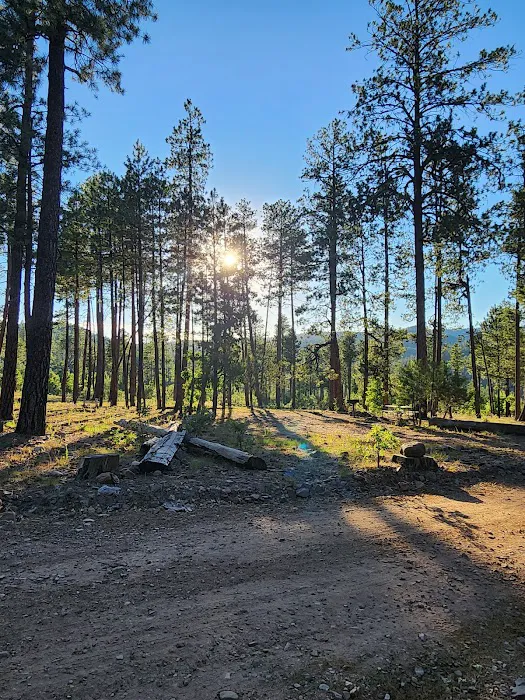 Valentine Ridge Campground Picture 9