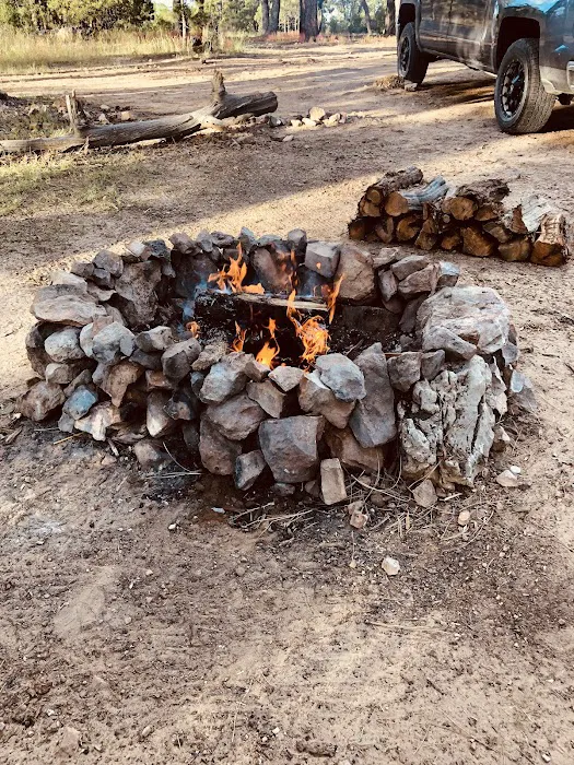 Chevelon Canyon Lake Campground Picture 3