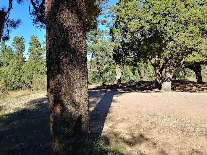 Chevelon Canyon Lake Campground Picture 6