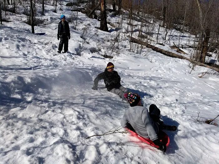 Colcord Ridge Campground Picture 8