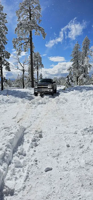 Colcord Ridge Campground Picture 5
