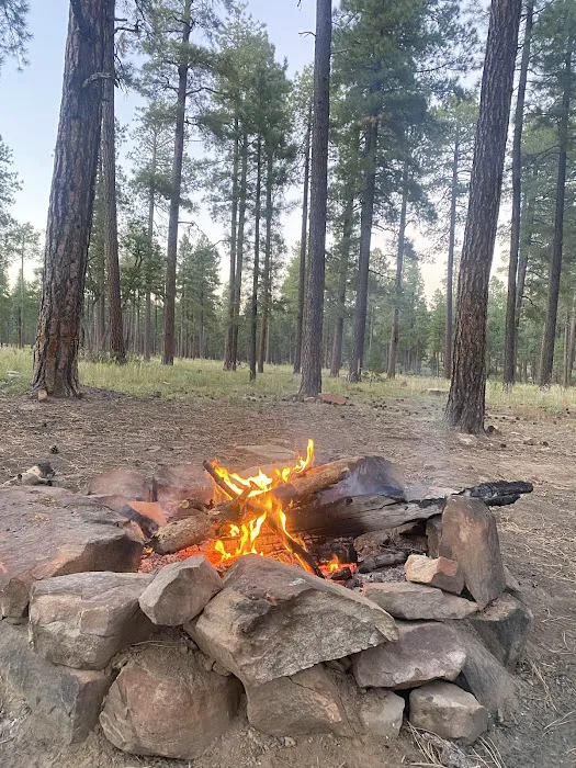 Fr 171 Campground Picture 2