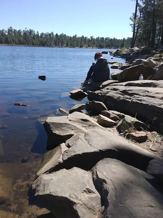Sardine Point Day Use Area Picture 6