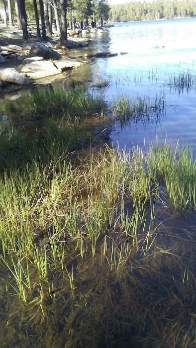 Sardine Point Day Use Area Picture 9