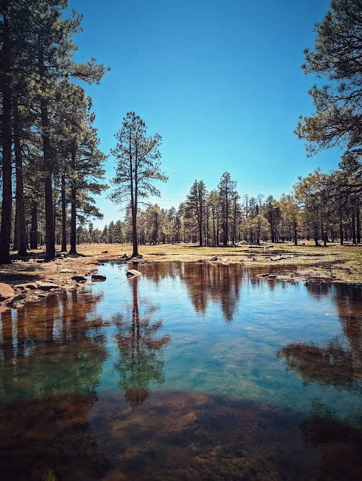 Sinkhole Campground Picture 4