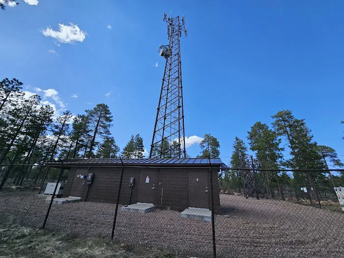 Rim Campground Picture 2