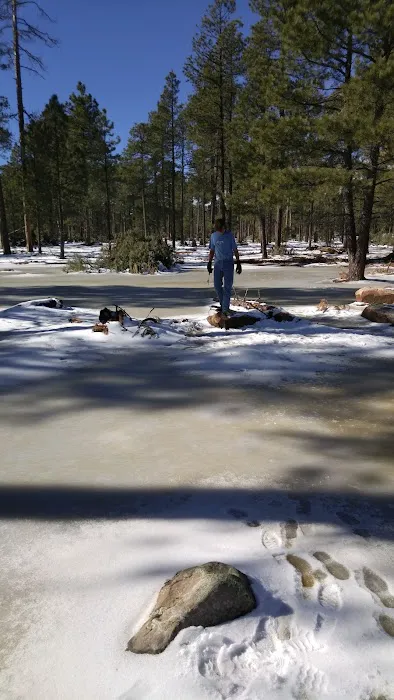 Rim Campground Picture 5